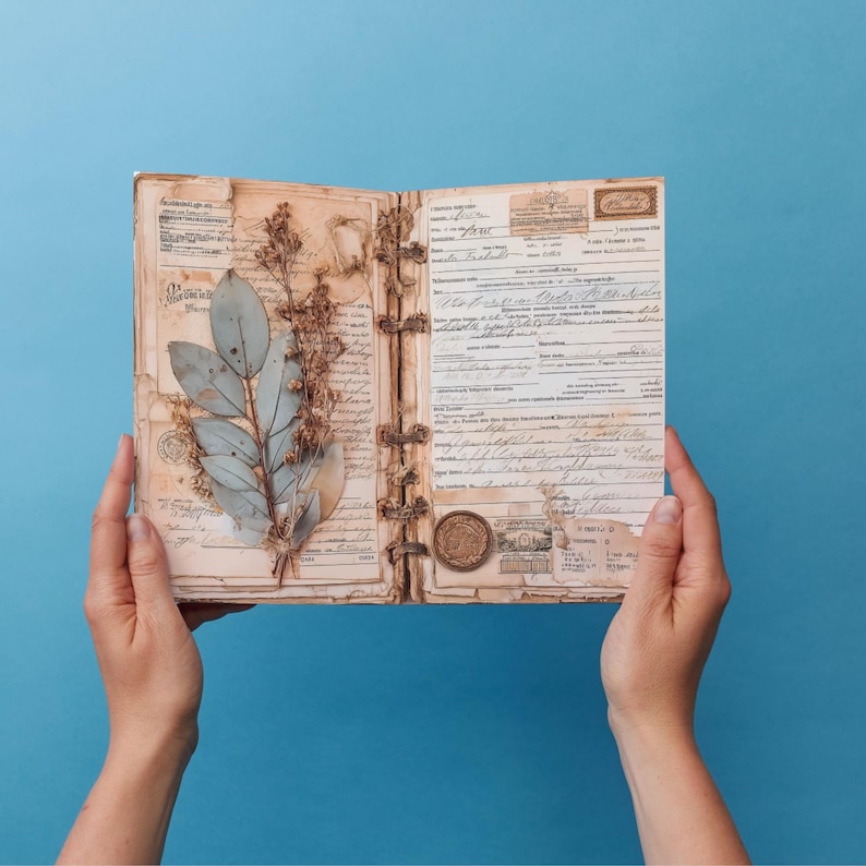 May include: An open vintage journal with aged, yellowed pages, featuring pressed leaves and handwritten text. The journal is bound with a series of clasps and held against a solid blue background. A wax seal is visible on one page.