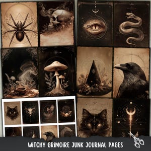 May include: A collection of vintage-style grimoire junk journal pages. The pages feature illustrations of a spider, skull, eye, snake, mushrooms, witch's hat, raven, cat, and other mystical symbols. The text at the bottom reads "Witchy Grimoire Junk Journal Pages."