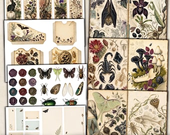 Dark Botanical Junk Journal Ephemera, Halloween Gothic Vintage fussy cut, Scrapbooking Embellishment