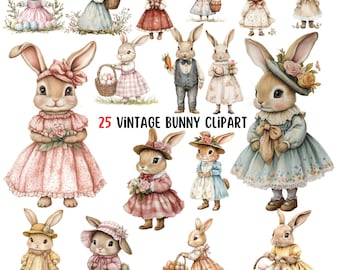 Vintage kanin Clipart, påskhare sublimering, kommersiellt bruk, födelsedagsfest babyshower, vårkanin png, skräpjournal, påskdesign