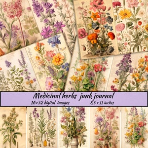 Ervas medicinais lixo diário digital folha botânica kit de papel de scrapbook de ervas floral para impressão planta efêmera kit de papel de scrapbook digital
