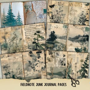 May include: A collection of vintage-style junk journal pages. The pages feature botanical illustrations, landscape paintings, and musical notes, with a color palette of muted greens, blues, and browns. The text "FIELDNOTE JUNK JOURNAL PAGES" is visible at the bottom.