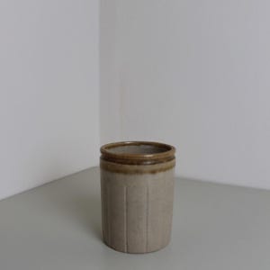 Può includere: Vaso cilindrico in gres beige con bordo marrone e scanalature verticali. Il vaso ha un aspetto rustico e invecchiato, suggerendo che si tratti di un pezzo antico o vintage. La palette di colori neutri lo rende adatto a vari stili di arredamento.