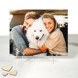 Könnte beinhalten: Ein Paar umarmt einen weißen Hund in einem Auto. Der Hund streckt die Zunge heraus. Das Paar lächelt.