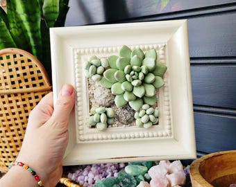 succulent wall art polymer clay art sculpted succulent framed art handmade succulent garden wall hanging