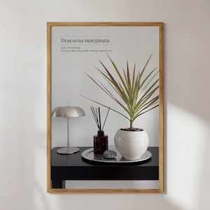Dracaena Marginata Print: Minimalist Scandinavian Botanical Poster (Digital Download)