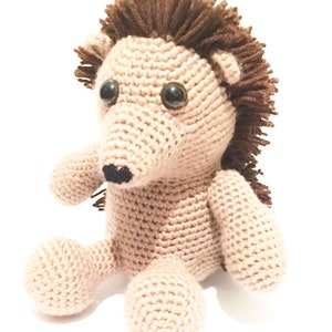 May include: A crocheted hedgehog plush toy with brown yarn for the quills and black eyes. The toy is sitting on a white background.