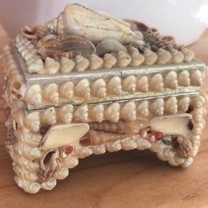 Vintage snäckask, smyckeskrin, smyckeskrin med snäckor på silverbakgrund, tysk ö i Nordsjön