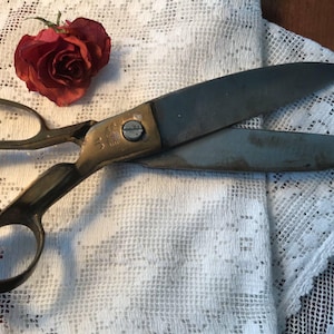 Puede incluir: Tijeras de sastre antiguas con mangos de latón y hojas de acero, sobre un paño de encaje blanco. Una rosa roja seca está colocada cerca de las tijeras. Las tijeras están abiertas, mostrando las hojas. El conjunto tiene un aire vintage.