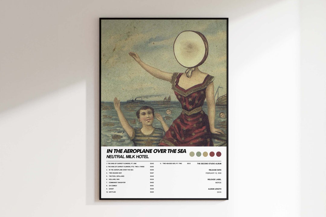Neutral Milk Hotel 'in the Aeroplane