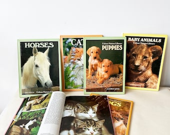 Conjunto de libros infantiles vintage sobre animales.