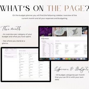 What's on the Budget Planner page? A sidebar, monthly overview, expenses and budgeting.