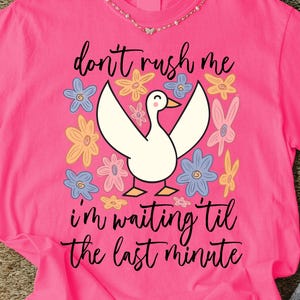 PNG divertido, PNG "No me apresures, estoy esperando hasta el último minuto", PNG "Ganso tonto", PNG "Retro sarcástico", PNG "Floral bohemio", Diseño de camisa preppy femenina