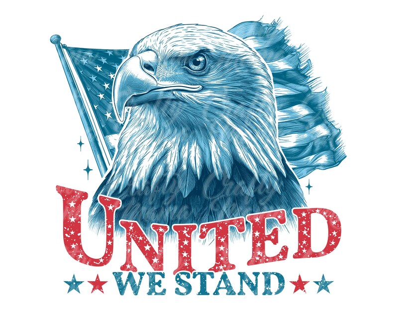 May include: An American flag in blue and white with a bald eagle in front of it. The eagle is looking to the left. The text "UNITED WE STAND" is below the eagle in red with white stars.