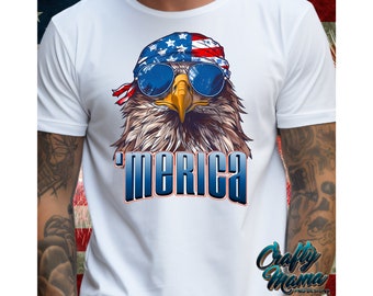 Archivo Merica Png, Png Americano, 4 de Julio Png, Png Patriótico, America Png, Águila Patriótica Png, 4 de Julio Png, USA Png, America Eagle
