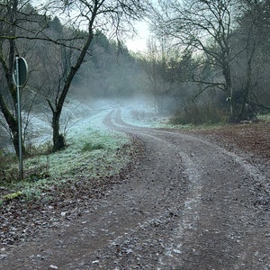 Poster Nature Landscape Forest