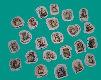 Conjunto de pegatinas de búho pequeño