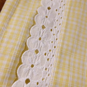Peut inclure: Gros plan sur un tissu vichy jaune et blanc avec une bordure en dentelle florale blanche. La dentelle présente un bord festonné avec des détails de fleurs brodées. Le tissu a une esthétique classique et vintage.