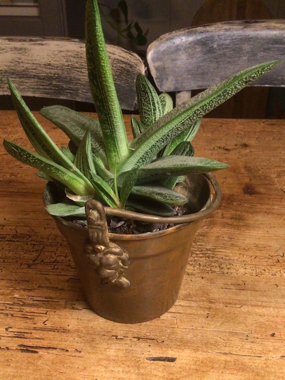 レトロな植木鉢ギフト素朴な装飾的な植木鉢用 ビンテージの銅製バケツ