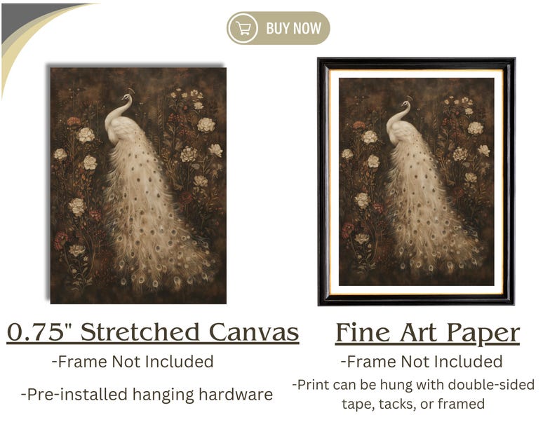 Vintage Peacock Print Wall Art Kitchen Decor, Large Framed Botanical