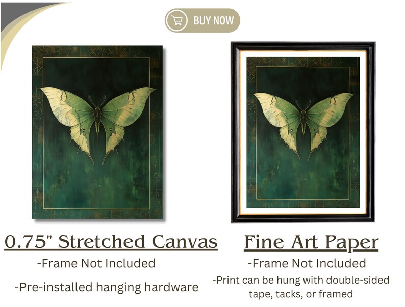 Butterfly Art Print ,vintage Moth Print & Whimsigoth Bedroom Aesthetic