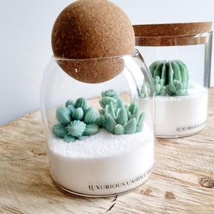 Peut inclure: Deux bocaux en verre avec des couvercles en liège contenant des succulentes artificielles et du sable blanc. Les bocaux sont étiquetés "Luxurious Candle Designs".