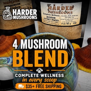 May include: Image of mushroom extract powder and a mug with the text "4 Mushroom Blend". The product is labeled "Harder Mushrooms" and includes information about the blend's ingredients and serving size. The mug has a blue and brown glaze.