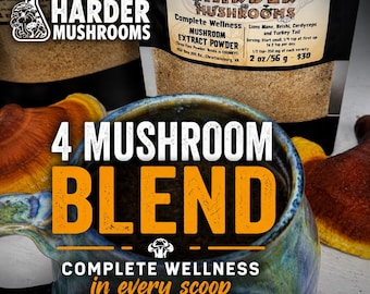 Mezcla de 4 hongos en polvo / Melena de león, Reishi, Cordyceps, Extracto de cola de pavo