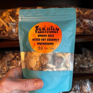 Mélange de champignons séchés gourmets séchés en gros Umami Gold, crinière de lion, maitake, shiitake, huître, châtaigne... ajouter à la soupe, aux escrocs, quoi que ce soit
