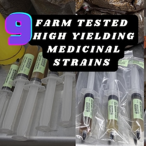 Medicinal Mushroom Farm Starter Liquid Culture Pack: 9 Production-Tested Functional Strains