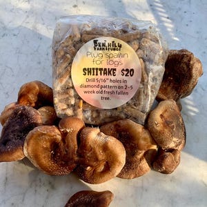 May include: A clear plastic bag containing plug spawn for logs, with a round sticker that reads "SHIITAKE $20". Several brown shiitake mushrooms are scattered around the bag. The sticker also includes instructions for use.
