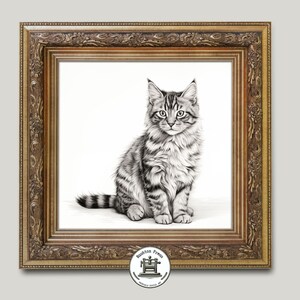 May include: Black and white pencil drawing of a Maine Coon kitten sitting in a gold ornate frame.