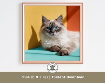 Impresión pop art de gato Ragdoll: Retrato moderno de mascota (descarga digital)
