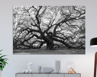Può includere: Fotografia in bianco e nero di un grande albero con ampi rami. L'albero domina l'inquadratura, con i suoi rami contorti che si estendono. Una stampa paesaggistica, adatta per l'arredamento murale.