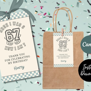 May include: A gift tag and a brown paper bag with a tag attached. The tags have a checkered border and text that reads "BRUH I WAS 6, 67, NOW I AM 7, THANK YOU FOR CELEBRATING MY BIRTHDAY! Harry". A teal ribbon is tied to the gift tag.