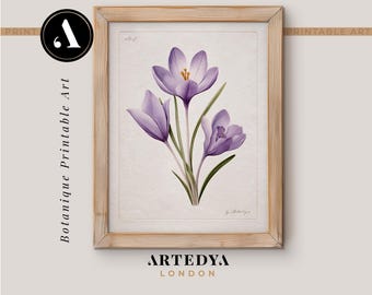 Watercolour Crocus Art Print | Digital Download | Spring Floral Wall Art | Purple Crocus Botanical Print | Botanique Collection by Artedya