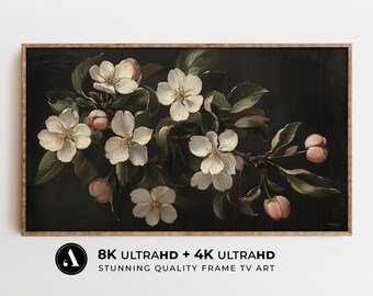 Arte de TV con marco de primavera: Naturaleza muerta con flor de manzano blanco / Pintura de flor de manzano melancólica en 8 y 4K para TV / Dark Academia Antique Botanical / por ARTEDYA