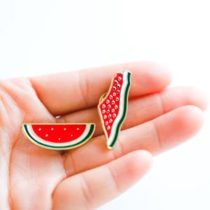 Spilla di protesta in Palestina / Spilla smaltata "Free Gaza" / Gioiello con bandiera palestinese / Simbolo di resistenza all'anguria / Regalo per pace e giustizia