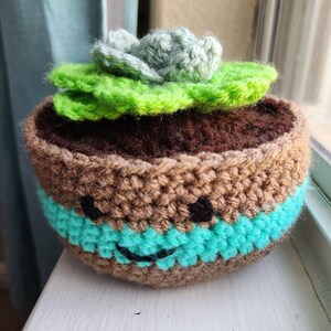 Succulent plant