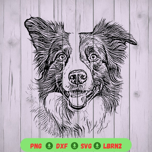 Versatile Border Collie Dog Line Drawing SVG and PNG - Perfect for T-Shirts, Mugs, and Laser Files - Beginner-Friendly Digital Design