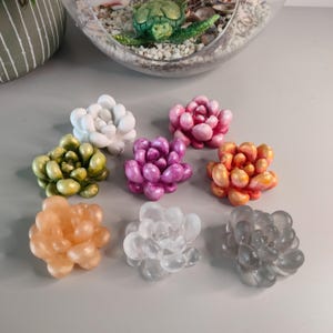 Könnte beinhalten: Eine Sammlung handgefertigter Sukkulenten-Skulpturen in verschiedenen Farben, darunter Weiß, Rosa, Orange, Grün und Lila. Die Miniaturpflanzen sind auf einer grauen Oberfläche angeordnet, mit einem gläsernen Terrarium und einer Schildkrötenfigur im Hintergrund.