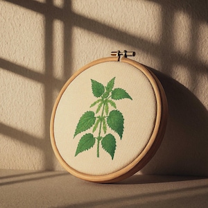 Könnte beinhalten: Ein runder Stickrahmen mit einem botanischen Design. Das Design zeigt eine grüne Pflanze mit mehreren Blättern, gestickt auf cremefarbenem Stoff. Der Rahmen ist aus hellem Holz gefertigt, der Hintergrund ist beige.