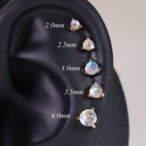 May include: A display of five gold-colored stud earrings with iridescent, teardrop-shaped stones. The earrings are arranged in ascending size, with measurements from 2.0mm to 4.0mm. The earrings are displayed on a black ear model.