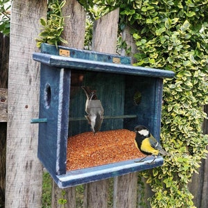 Bird Feeder, Squirrel Proof, Pigeon Proof, Hanging Bird Feeder, Bird Watching, Seed Feeder, Bunker-type feeder