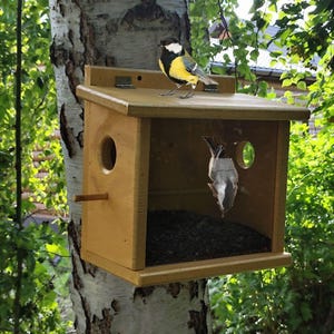 Bird Feeder, Squirrel Proof, Pigeon Proof, Hanging Bird Feeder, Bird Watching, Seed Feeder, Bunker-type feeder