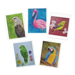 Einzigartiges Geschenk für Vogelfreunde, Druck von Original Zeichnung, Exotische Vögel Grußkarten, Innenseite blanko