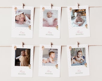 Editable Fairy First Birthday Photo Banner, Babies first year in photos, Fairy Editable Timeline Template, 1st Birthday Banner | Fairy 123