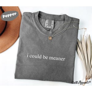Comfort Colors® I Could Be Meaner Shirt, Funny Adult Shirt, Sarcastic Shirt, Funny Quote Shirt, Sarcasm Shirt, Trendy Shirt for Women