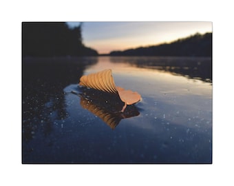 Leaf on Frozen Lake - Nature Photography Canvas | Winter Maine Wall Art Decor
