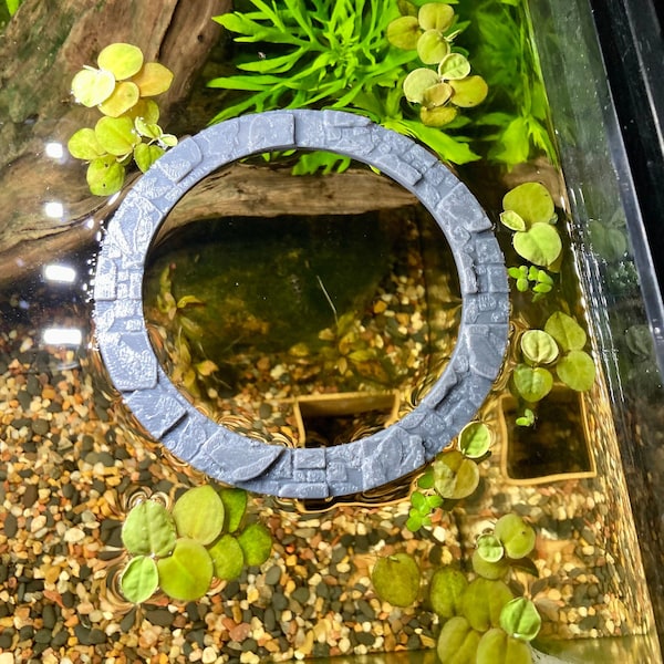 Stone Path Feeding Ring | Decorative Aquarium Floater Ring | Stone Path Floating Decor